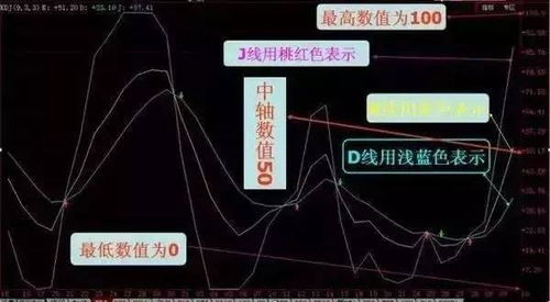 26号是底价吗？——深度剖析市场价格波动的奥秘